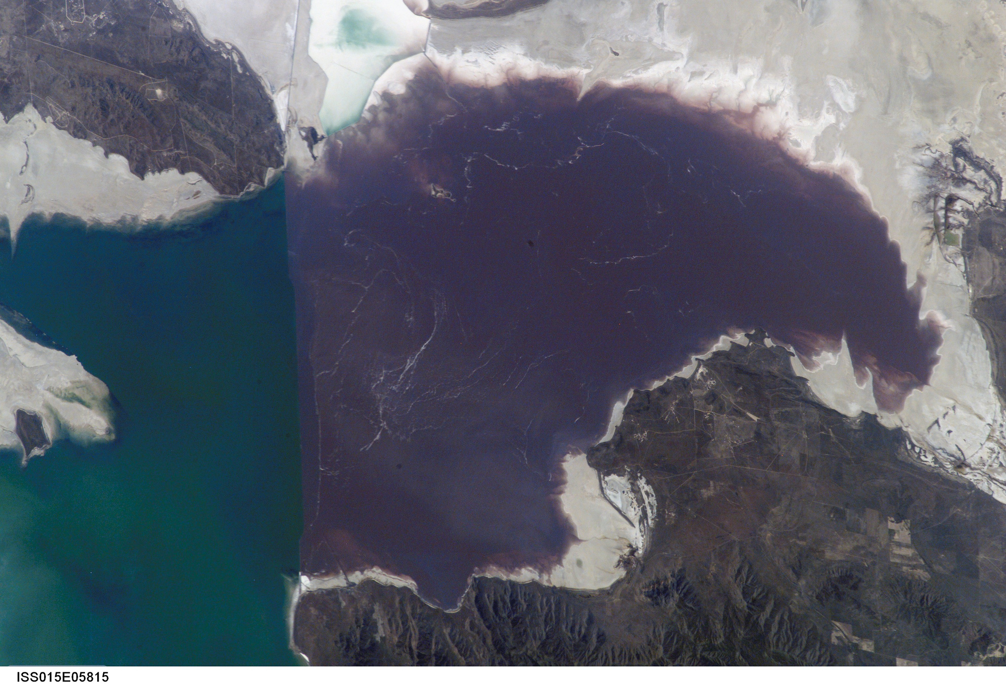 Western Resource Advocates eared grebes shrimp great salt lake