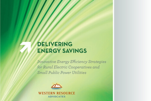 delivering energy savings report