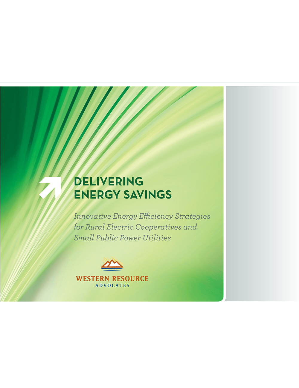 delivering energy savings report
