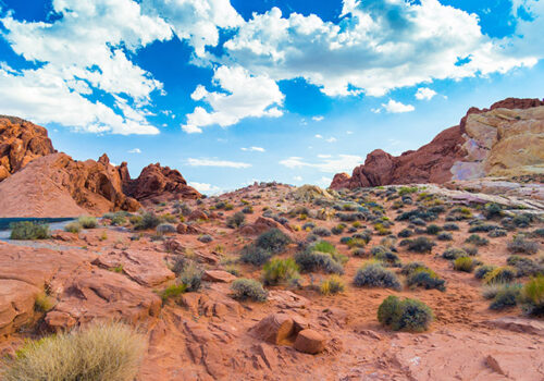 NV_Red Rock_Valley of Fire_SS286083350_800x450 Desert landscape with red rock formations, scattered shrubs, and a partially cloudy sky.