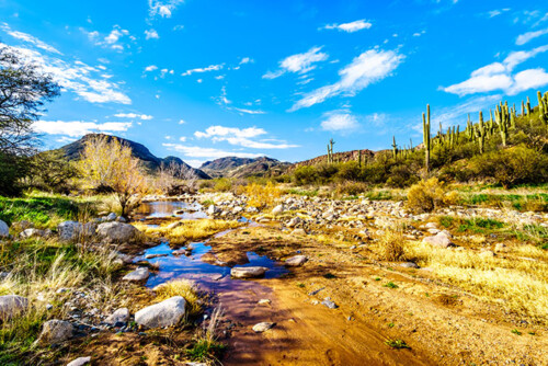 Arizona Sycamore Creek