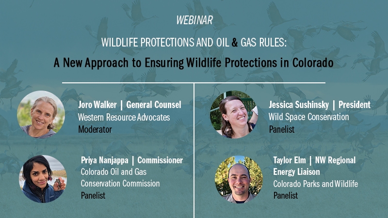 wildlife protections and oil an gas rules webinar