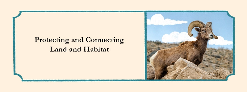 protecting and connecting land and habitat
