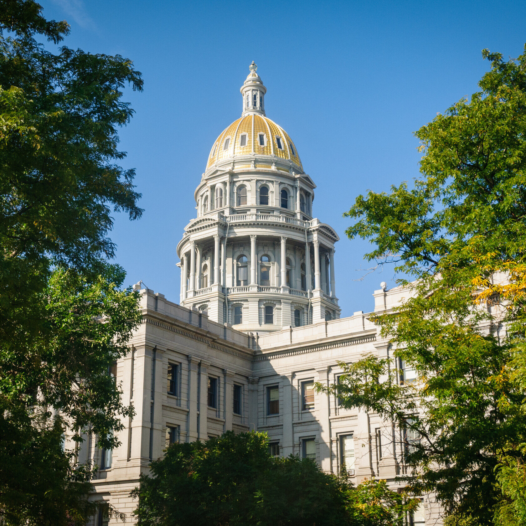 Colorado State Capitol The image shows the Colorado State Capitol building with its golden dome, framed by green trees under a clear blue sky.
