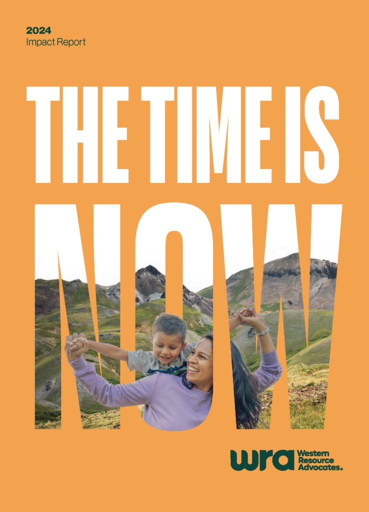Mother and child smiling and playing against a backdrop of mountains. Large text reads "The Time is Now." The image is part of the 2024 Impact Report for Western Resource Advocates.