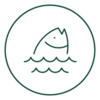 ezgif.com-resize (5) A green round symbol with a stylized "A" inside a circle.