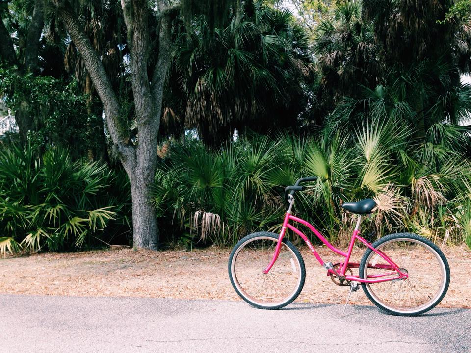 468054854_10161902685902937_2929833052182774902_n A pink bicycle stands on a paved path beside green bushes and tall trees under daylight.