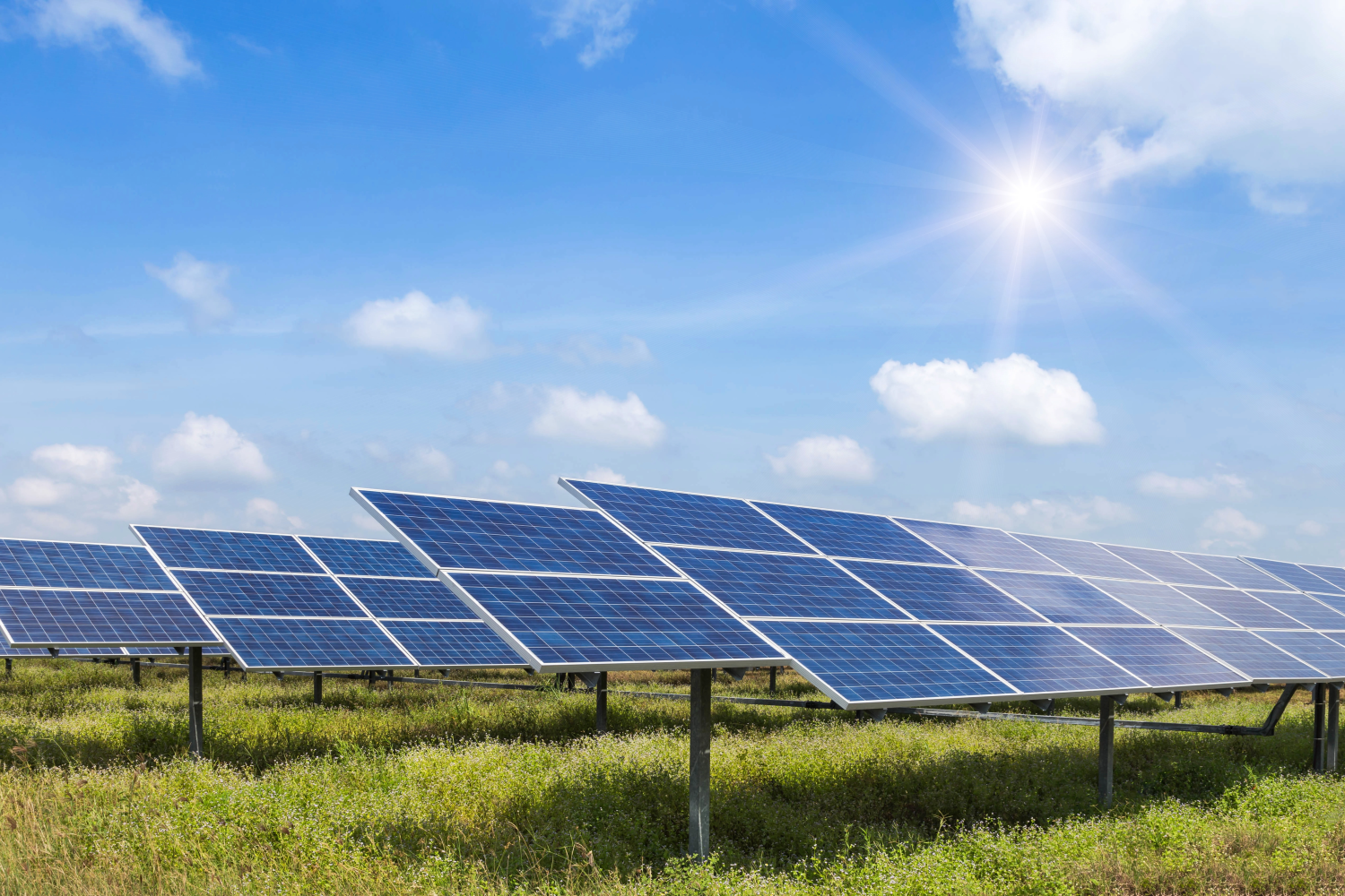 solar panels_adobe stock 1500 px Rows of solar panels installed in a grassy field under a clear blue sky with the sun shining brightly.