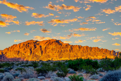 Desert landscape with low shrubs in the foreground and a rocky mountain range illuminated by golden sunlight under a sky with scattered clouds.