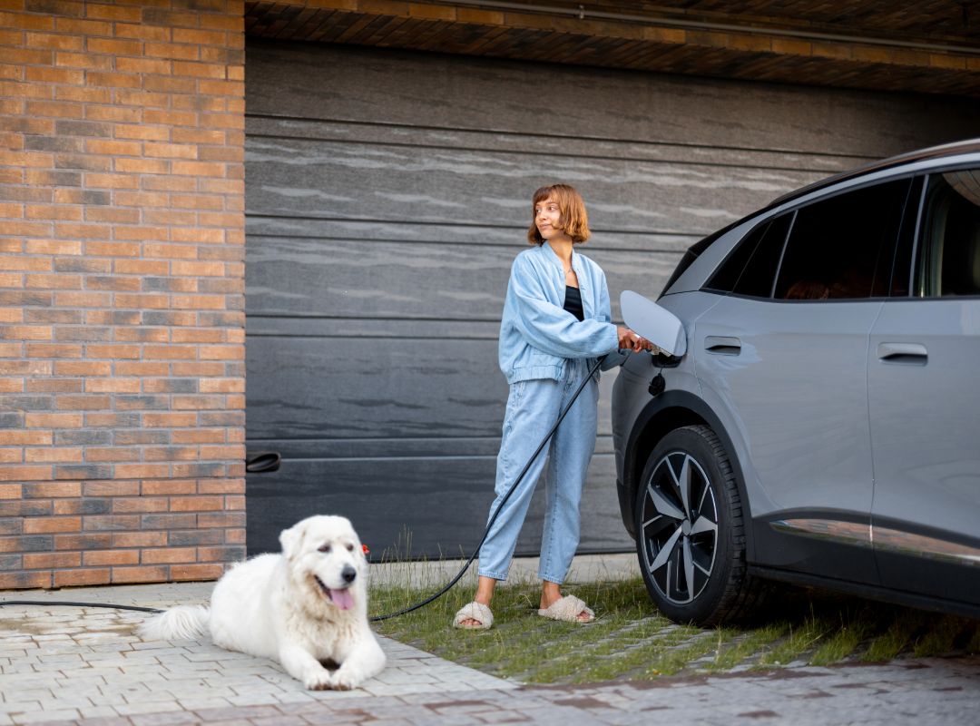 A woman in denim clothes charges an electric car in a driveway while a large white dog lies nearby on the ground.