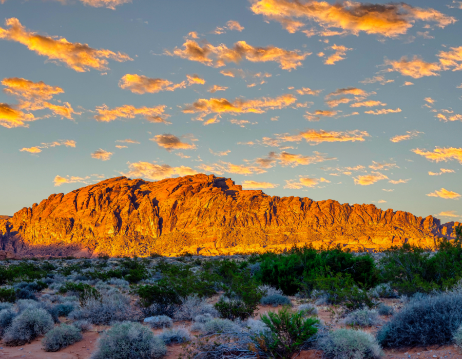 Desert landscape with low shrubs in the foreground and a rocky mountain range illuminated by golden sunlight under a sky with scattered clouds.