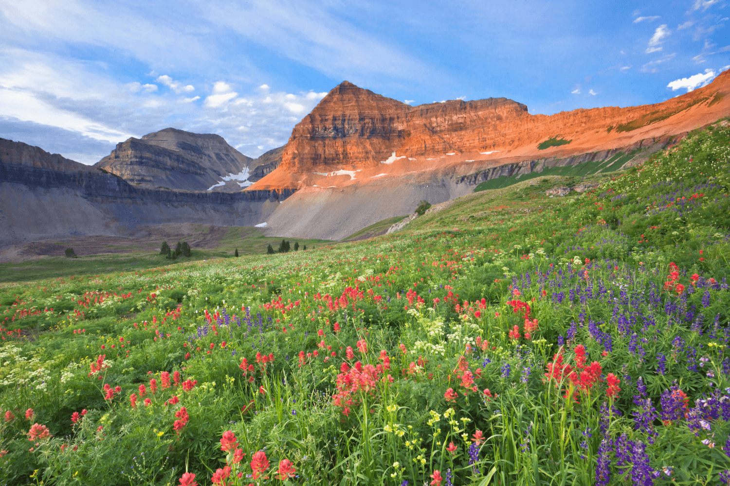 Wildflowers on Mount Timpanogos Utah_Adobe Stock A mountain landscape with a rocky, reddish peak and a green meadow filled with colorful wildflowers under a partly cloudy sky.