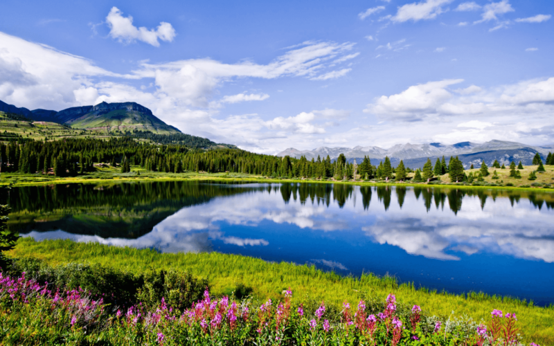 colorado lake A clear lake reflects a blue sky with clouds and distant mountains, surrounded by green trees and wildflowers in the foreground.