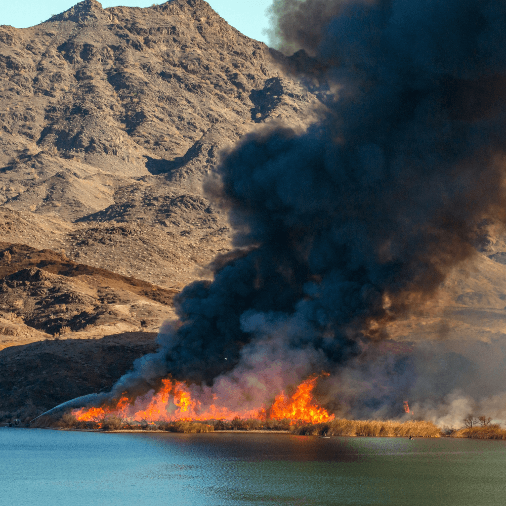 controlled burn on Colorado River A fire burns through vegetation on the edge of a lake, sending thick black smoke into the air with mountains in the background.