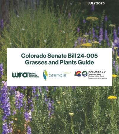 2025GrassesAndPlantsGuideCover