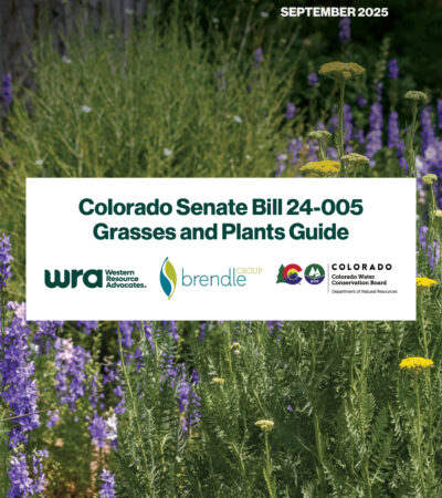 2025GrassesAndPlantsGuideCover