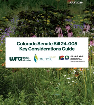 2025KeyConsiderationsGuideCover