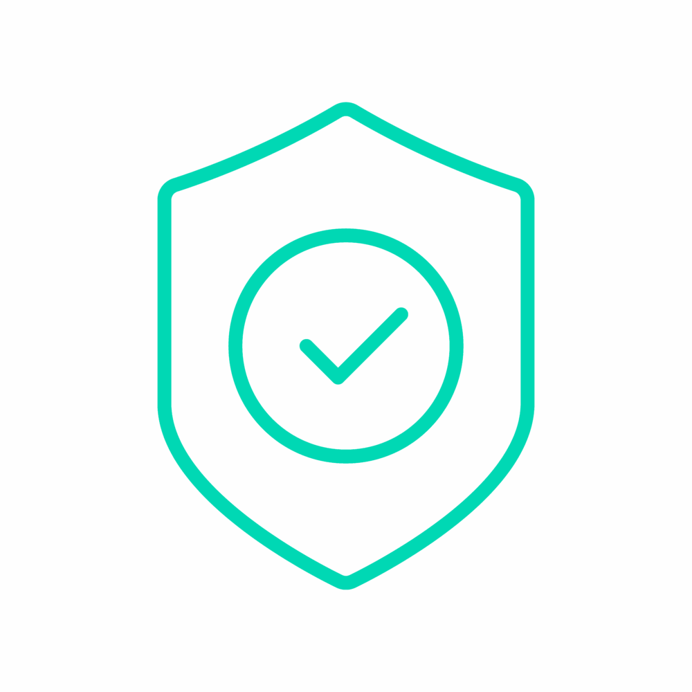 SecureIcon1_Aqua