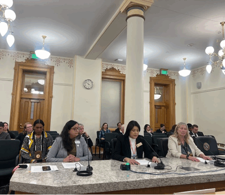 Tahlia Bear (center) testifying in the House Agriculture, Water and Natural Resources Committee alongside other Tahlia Bear (center) testifying in the House Agriculture, Water and Natural Resources Committee for House Bill 25-1163.