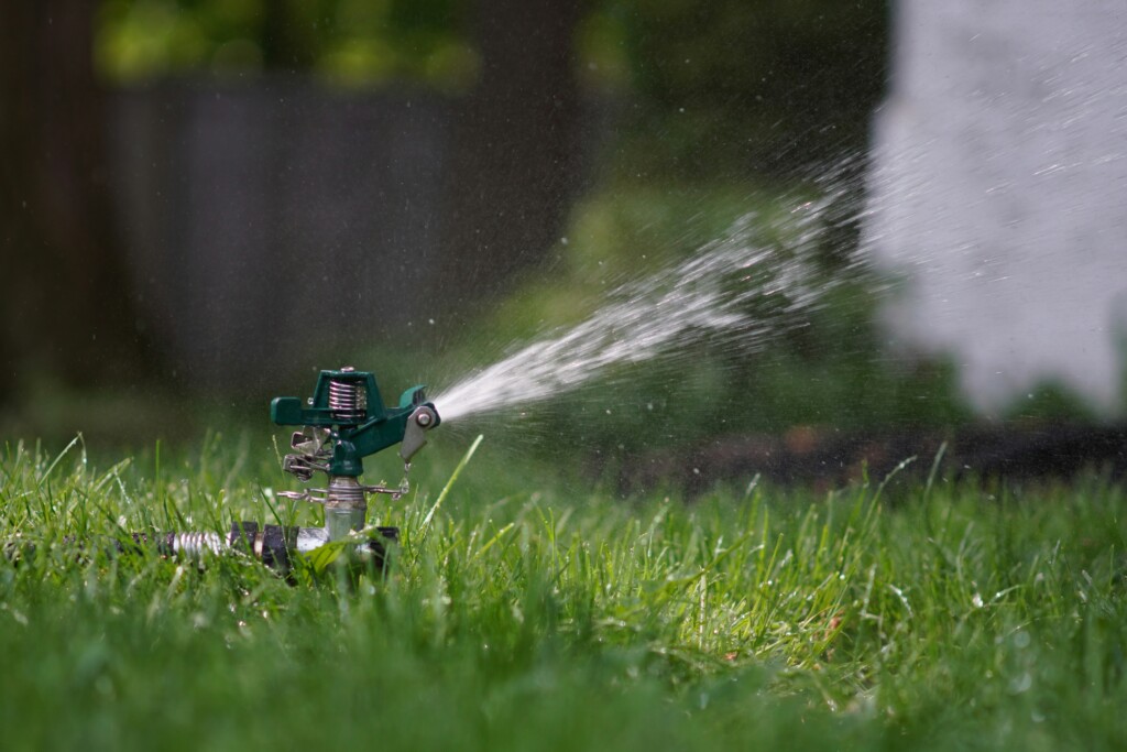 A sprinkler running in a green yard